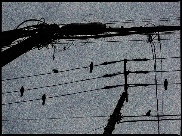 slide018